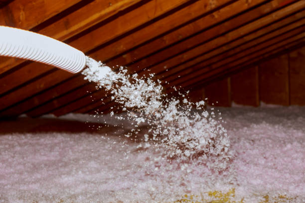 Best Insulation Maintenance and Repair in Arapahoe, WY