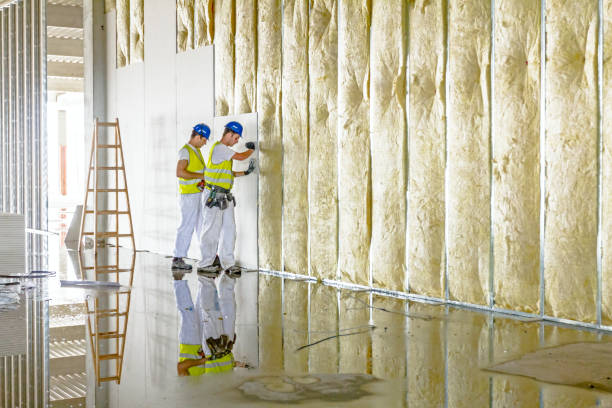 Best Geographic-Specific Insulation Services in Arapahoe, WY